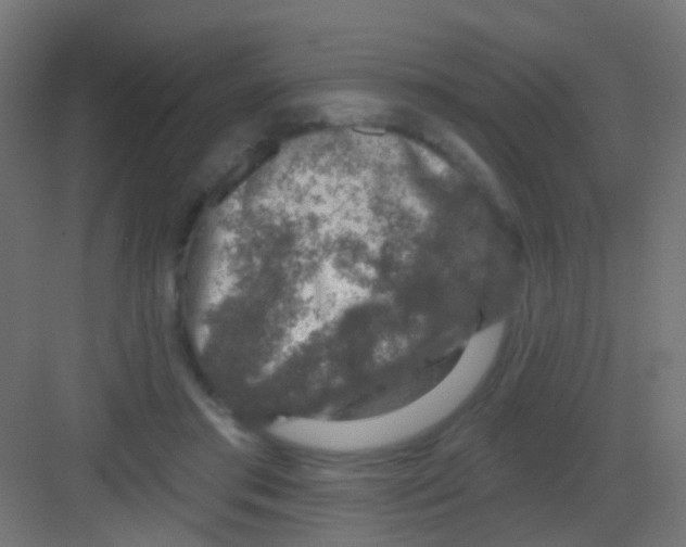 X0000081320405200702082141