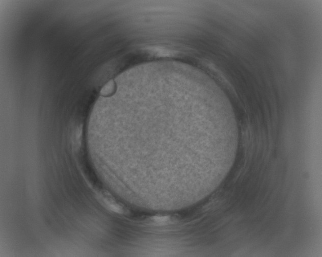 X0000081320406200702082141