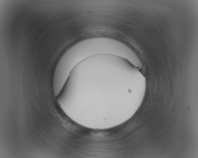 X0000081320407200702082141