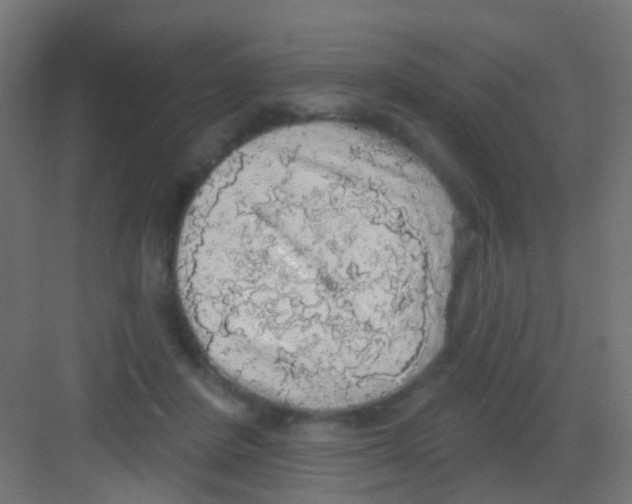 X0000081320408200702082141