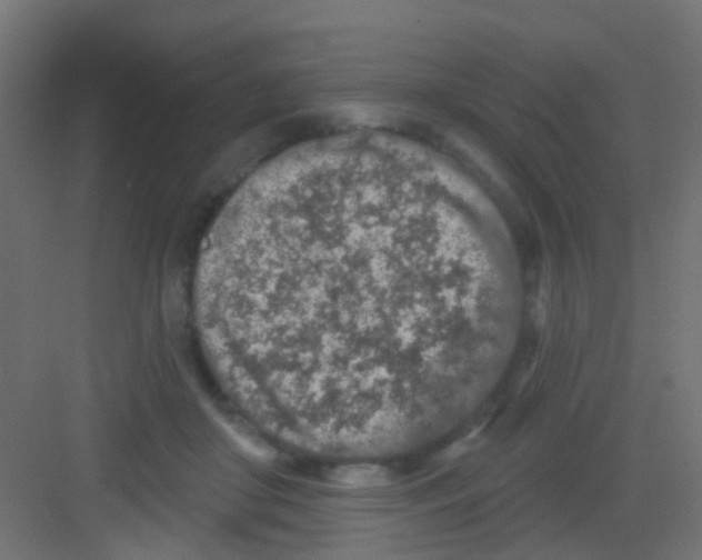 X0000081320410200702082141