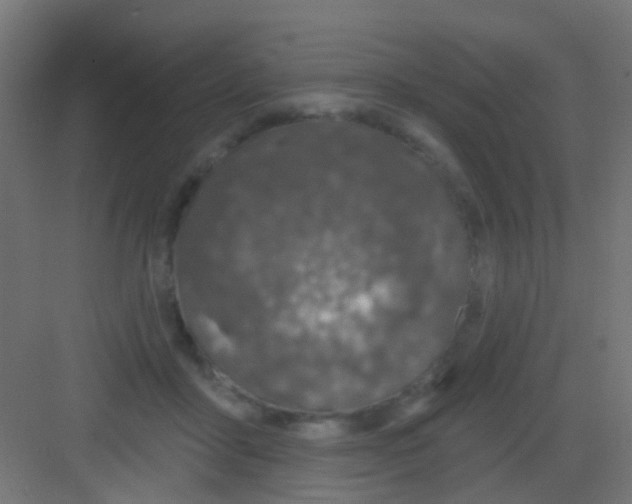 X0000081320411200702082141