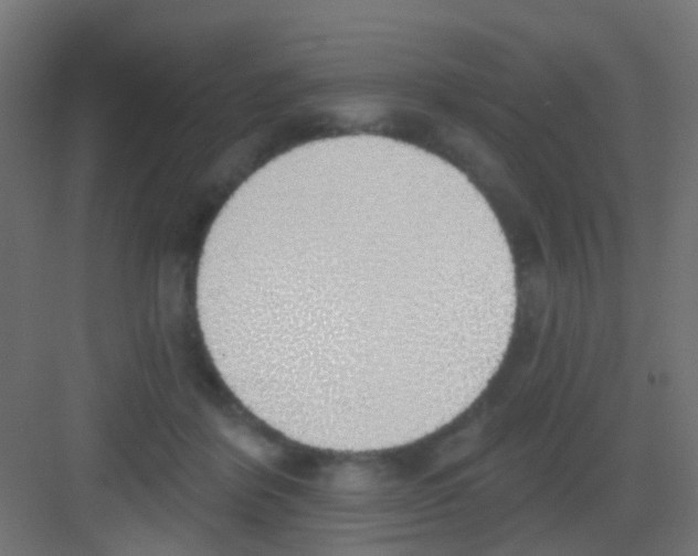 X0000081320412200702082141