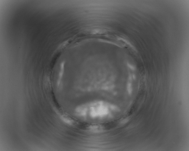 X0000081320415200702082141