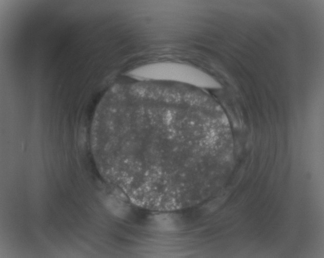 X0000081320417200702082141