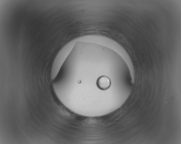 X0000081320419200702082141