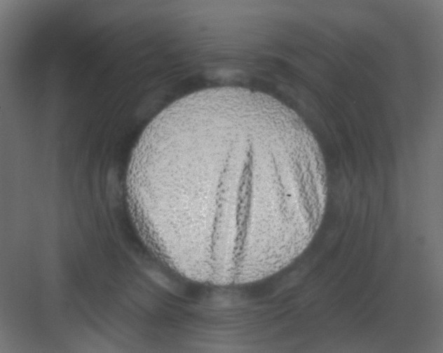 X0000081320420200702082141