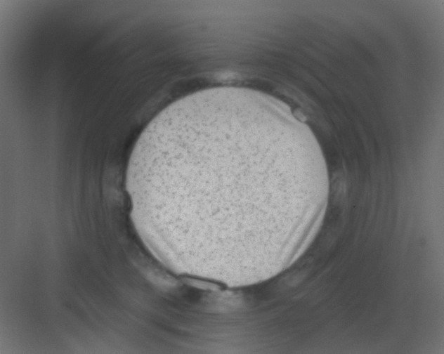 X0000081320421200702082141