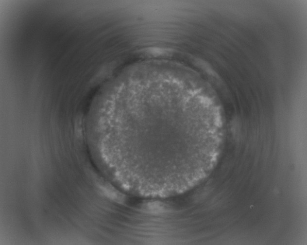 X0000081320423200702082141