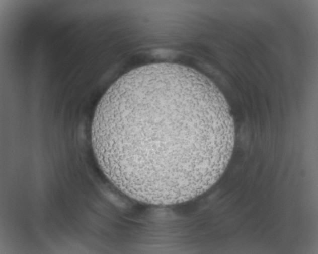 X0000081320424200702082141