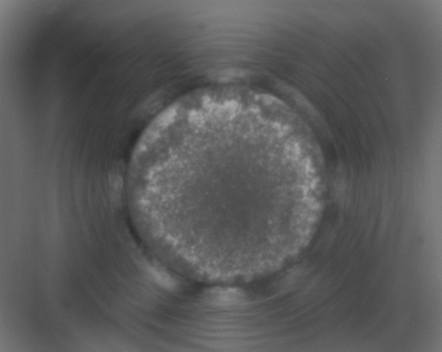 X0000081320427200702082141