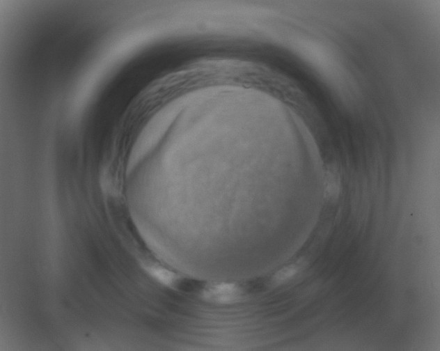 X0000081320431200702082141