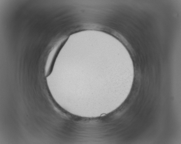 X0000081320433200702082140