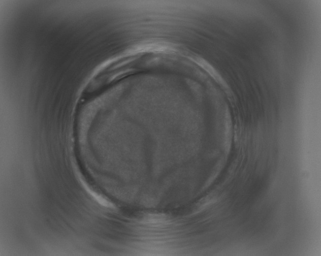 X0000081320438200702082140