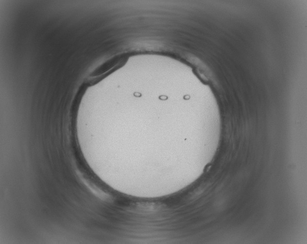 X0000081320439200702082140