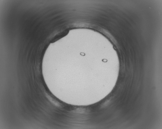 X0000081320441200702082140