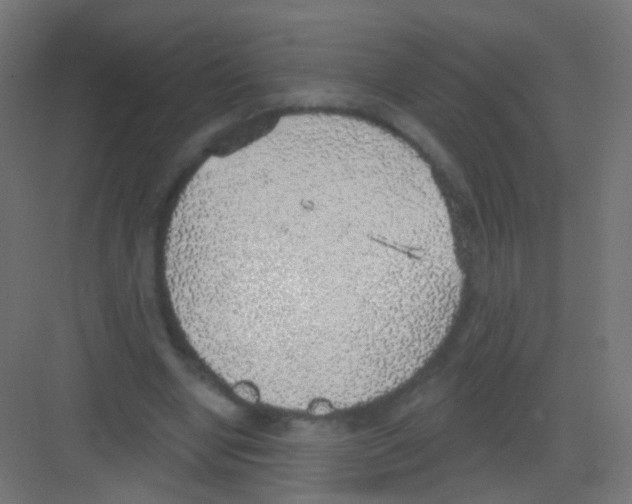 X0000081320442200702082140