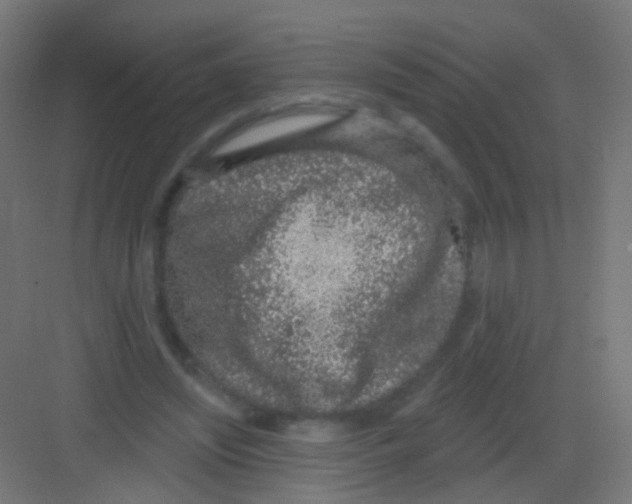 X0000081320444200702082140