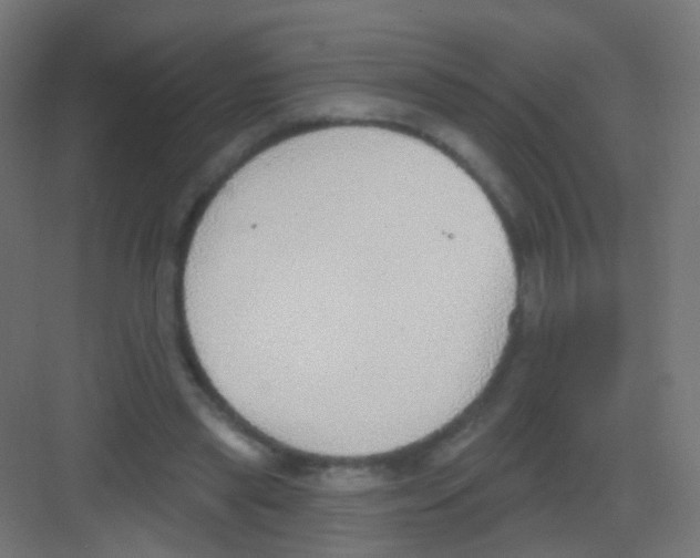 X0000081320445200702082140