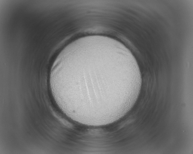 X0000081320446200702082140