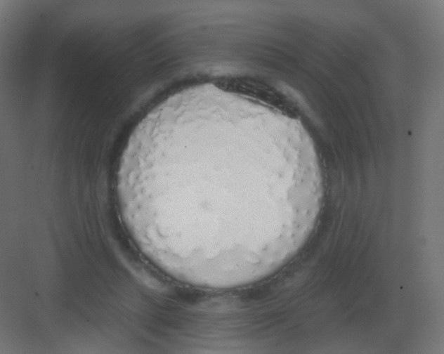 X0000081320447200702082140