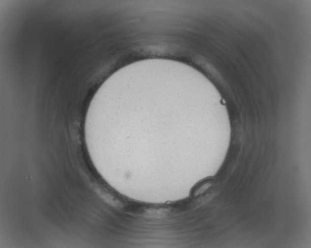 X0000081320450200702082140