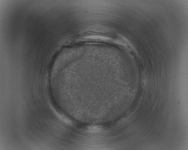 X0000081320451200702082140