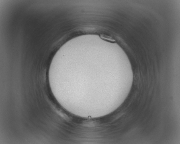 X0000081320454200702082140