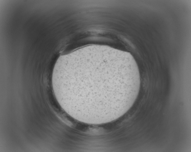 X0000081320455200702082140