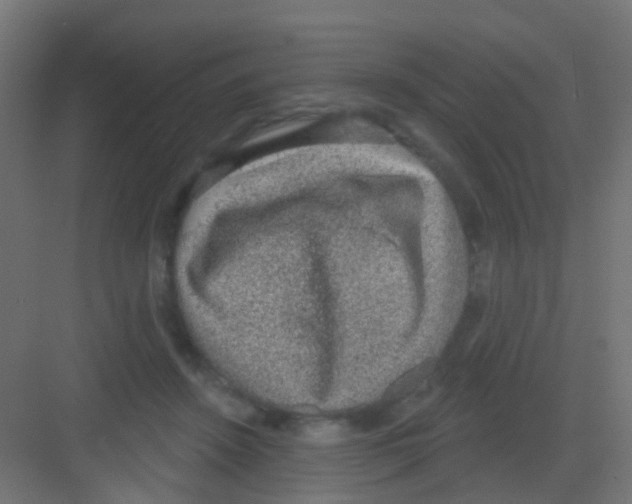 X0000081320456200702082140