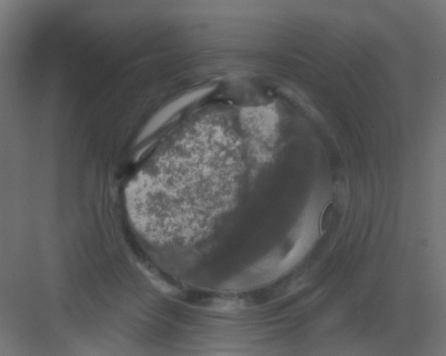 X0000081320458200702082140