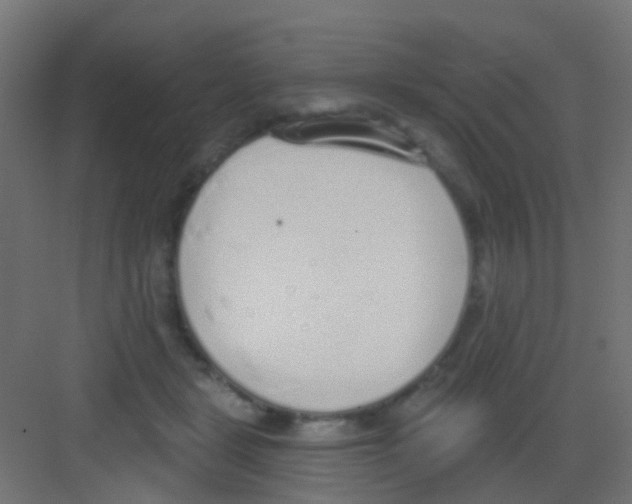 X0000081320461200702082140