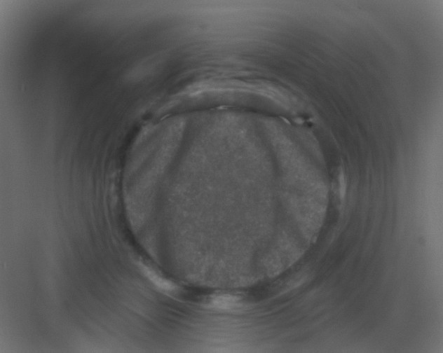 X0000081320462200702082140