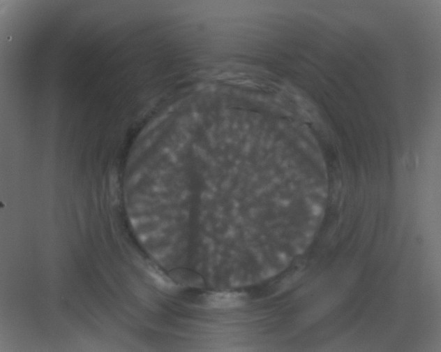 X0000081320465200702082140