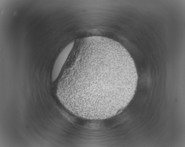 X0000081320466200702082140