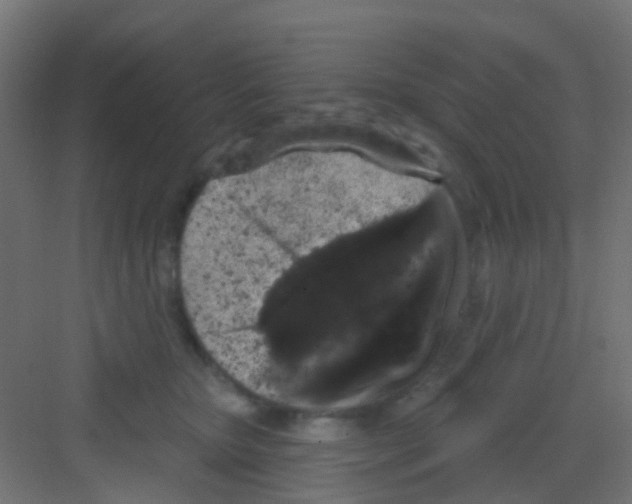 X0000081320467200702082141