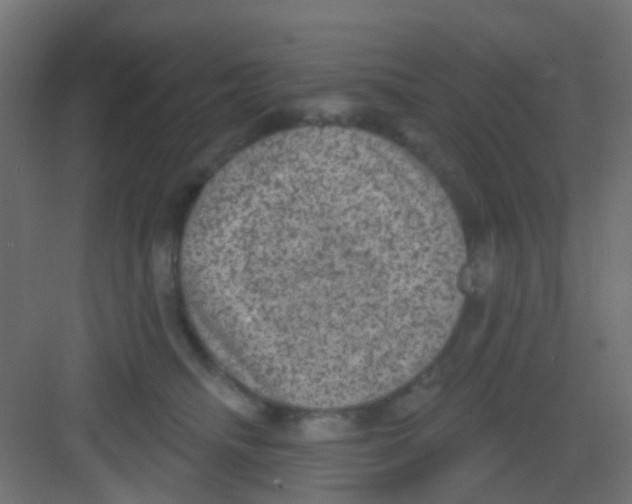 X0000081320468200702082141