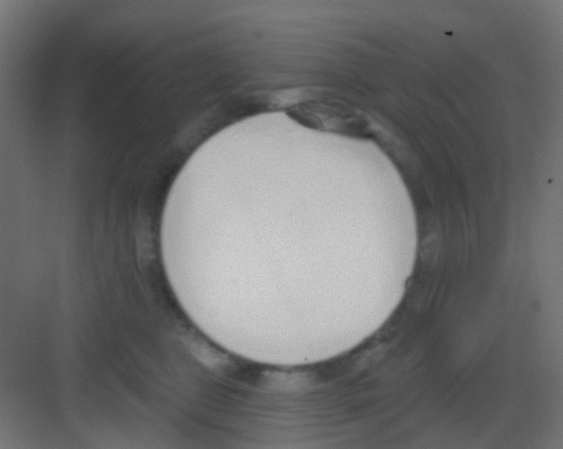 X0000081320469200702082141