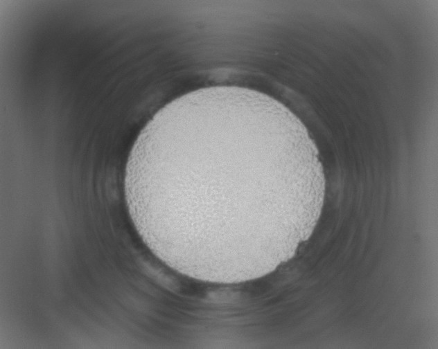 X0000081320470200702082141