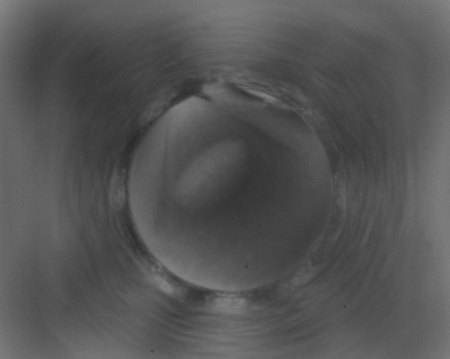 X0000081320471200702082141