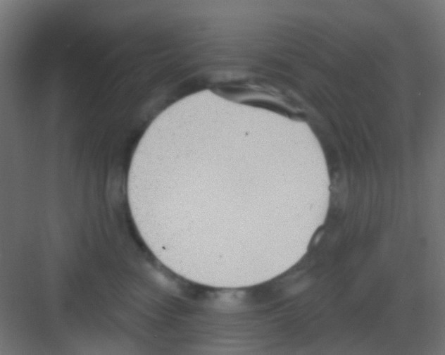 X0000081320474200702082141