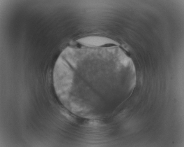 X0000081320475200702082141