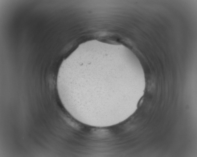 X0000081320476200702082141