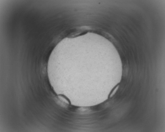 X0000081320477200702082141