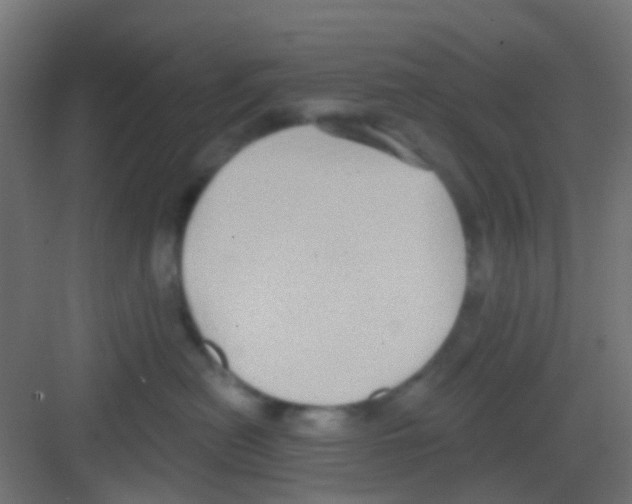 X0000081320478200702082141