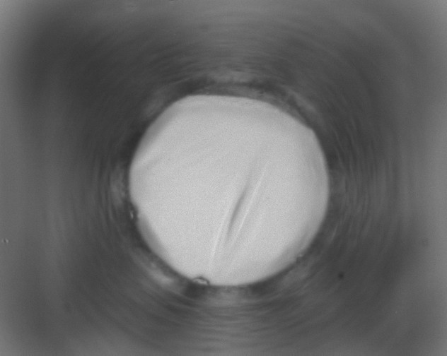 X0000081320479200702082141