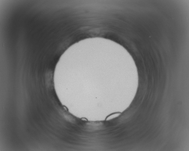 X0000081320480200702082141