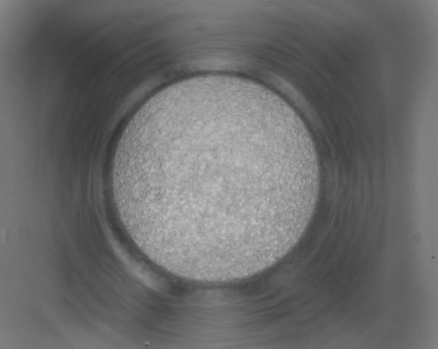 X0000081320482200702082140