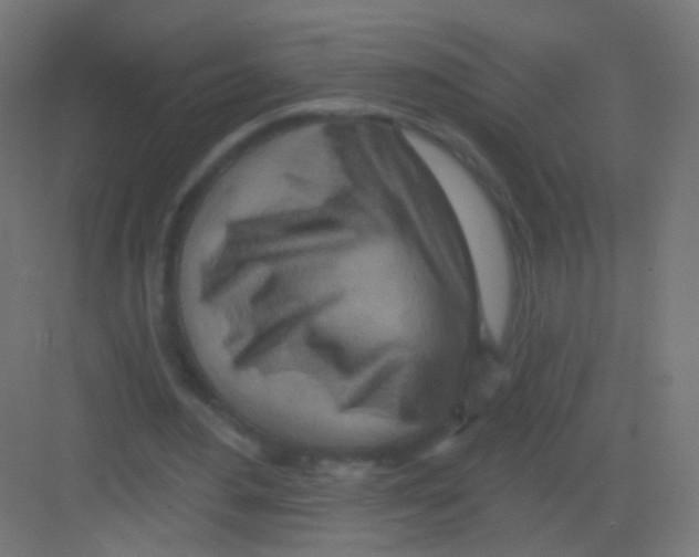 X0000081320484200702082140