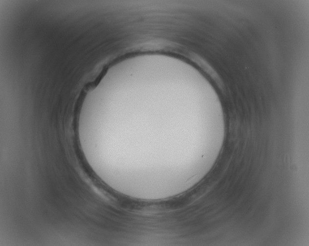 X0000081320485200702082140